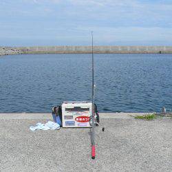 鳥飼新港のキス