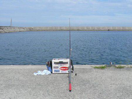 鳥飼新港のキス