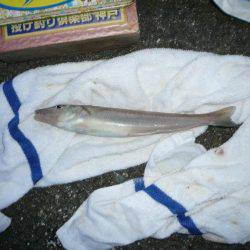 シーズン2度目の境水道釣行