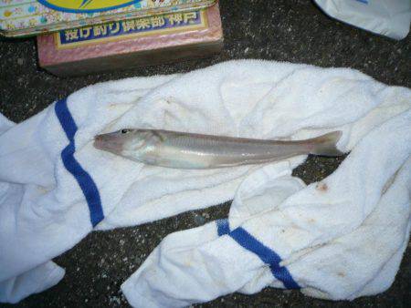 シーズン2度目の境水道釣行