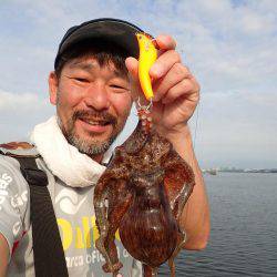 五目タコエギdeタコ