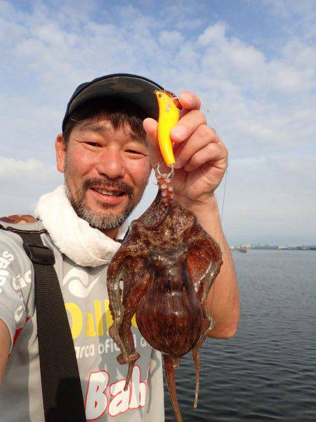 五目タコエギdeタコ