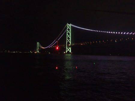 タチウオが釣れました。