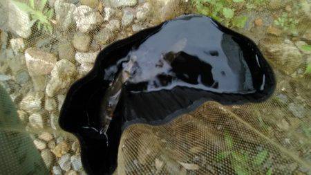 上桂川花背地区