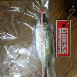 新たな場所を求めて!!