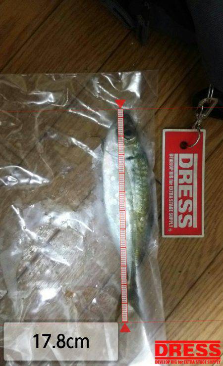 新たな場所を求めて!!