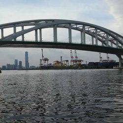 大阪湾デリシャスフィッシング撮影