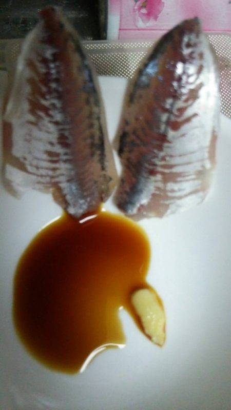 新たな場所を求めて!!