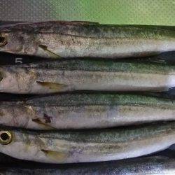 暑い１日だった