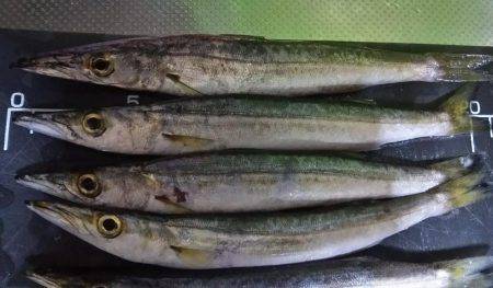 暑い１日だった