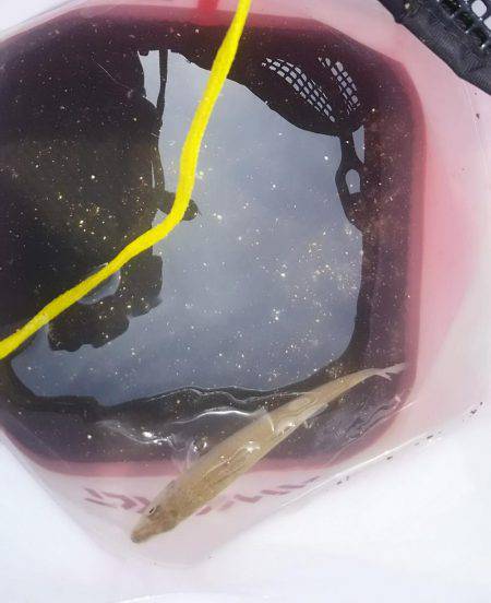 お昼から夕方まで