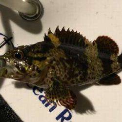 ガッシーマンション