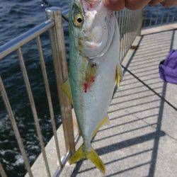 南芦屋浜ベランダ