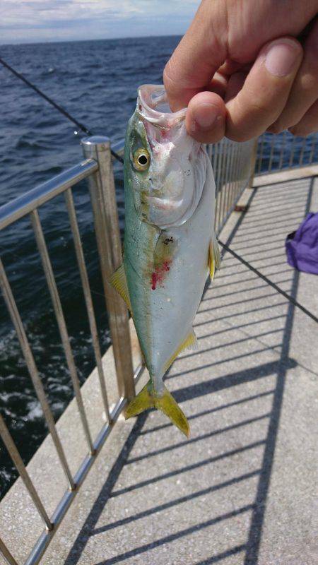 南芦屋浜ベランダ