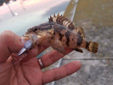 仕事終わりにライトワインド