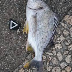 トップチニング