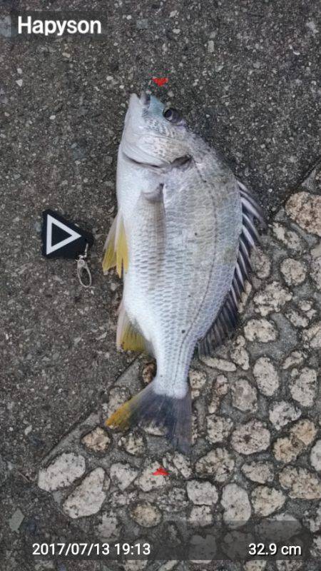 トップチニング