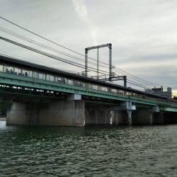 武庫川テナガエビ