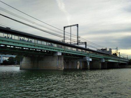 武庫川テナガエビ