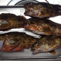 マイボートフィッシング