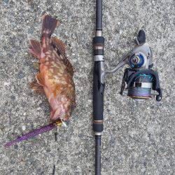 神戸沖堤タチウオワイド‼