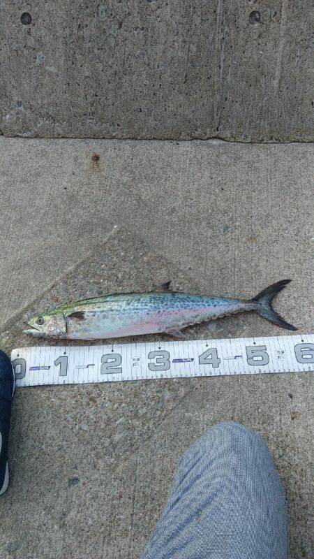 神戸渡船さんにて