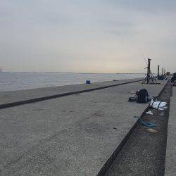 ポーアイ沖堤防に行ってきました‼