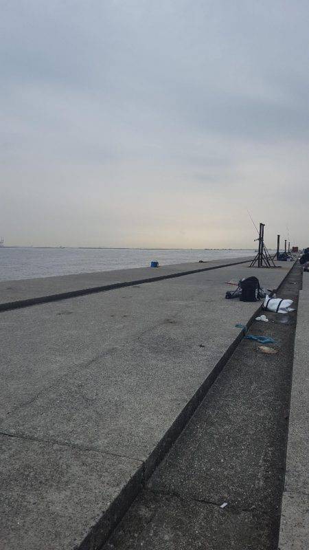 ポーアイ沖堤防に行ってきました‼