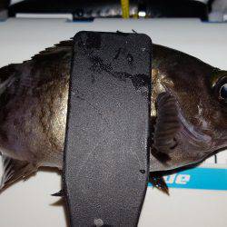 五目ならず爆風苦戦