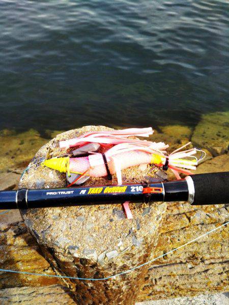 タコまだ少なめ・・・