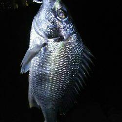 短時間チニング