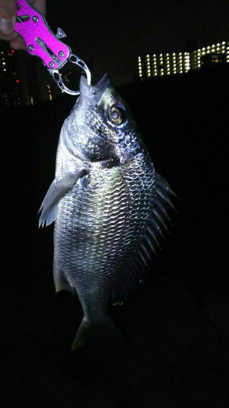 短時間チニング