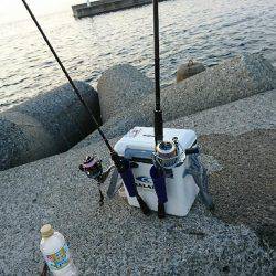 七夕フィッシング！ 願い事叶うのか！？