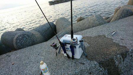 七夕フィッシング！ 願い事叶うのか！？