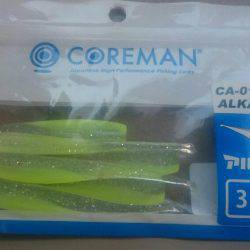 シーバスリベンジ♪