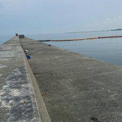 初めてのタコ釣り