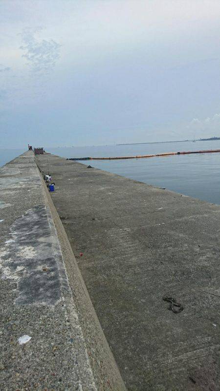 初めてのタコ釣り