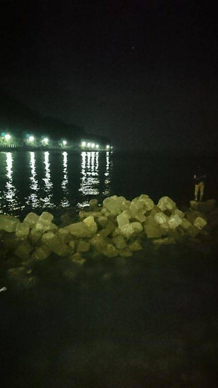 おこぼれアオリイカ狩り