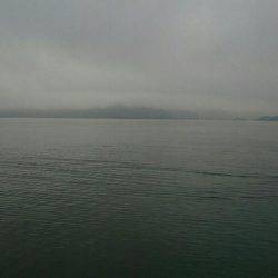 夕まずめのアジング