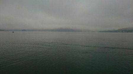 夕まずめのアジング