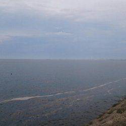 色々サンデーフィッシング