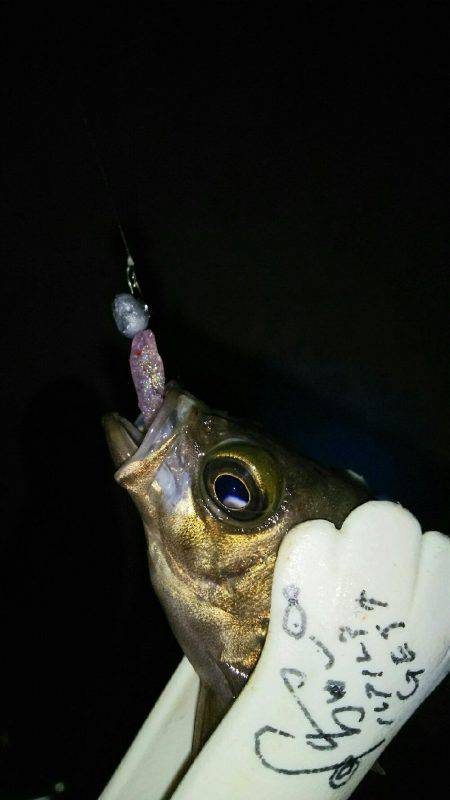 友人達とラスト？メバリング