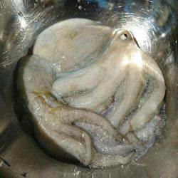 早朝 投げタコ♪