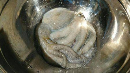 早朝 投げタコ♪