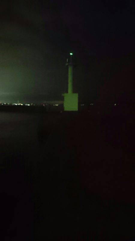 底を探ればコウイカ…