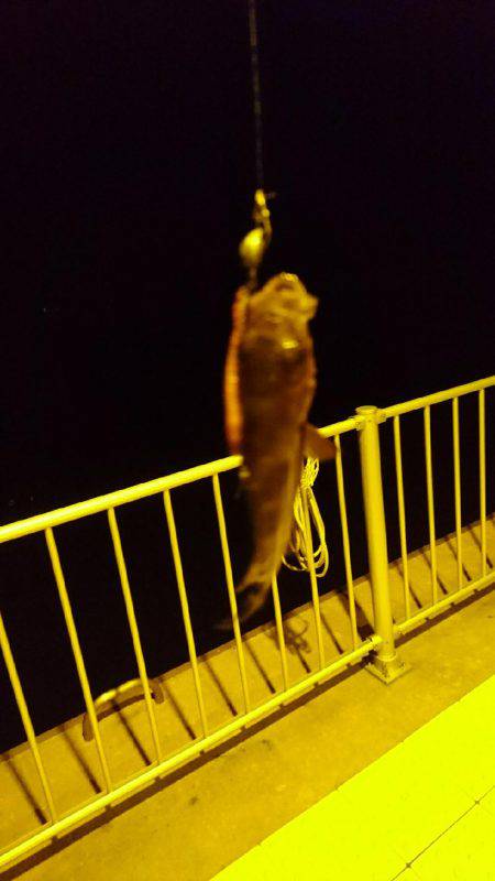 ライトゲームでめばる