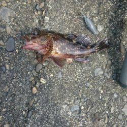 チビッ子ばかり。