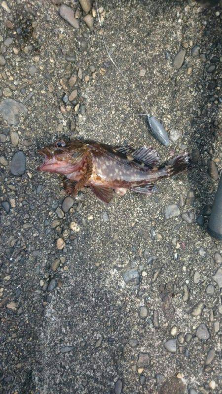 チビッ子ばかり。