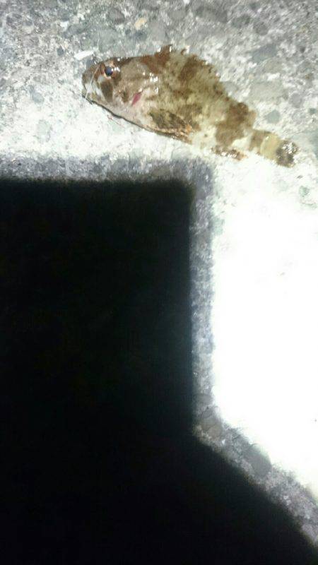 暑い。かなり暑い。