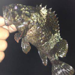 垂水漁港でガシリング！！